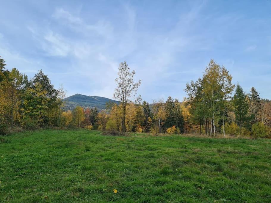 Rezydencja Green Hill - Ekskluzywny Dom W Karpaczu Экстерьер фото